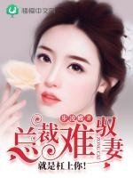 《总裁难驭妻:就是杠上你!》