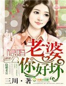 隐婚老公,老婆你好!