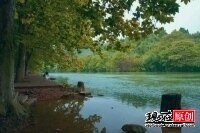 丫丫河之恋