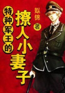 《特种军王的撩人小妻子》