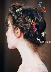 重生之蘇瓷
