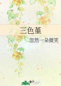《三色堇》