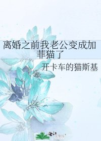 离婚之前我老公变成加菲猫了
