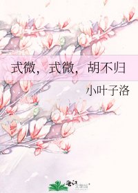 式微,式微,胡不归