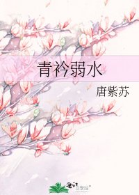 《青衿弱水》