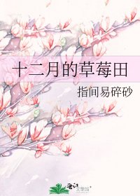 《十二月的草莓田》