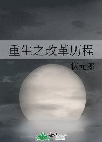 重生之改革歷程