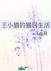 《王小貓的貓居生活》