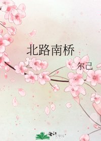 北路南橋