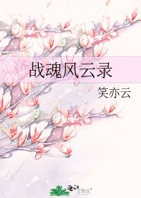 战婚风云录