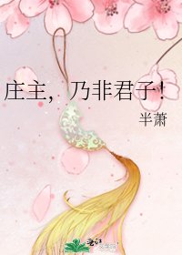 《庄主,乃非君子!》