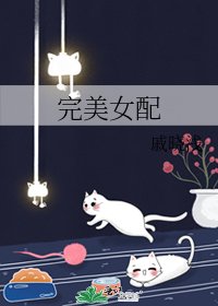 《完美女配》