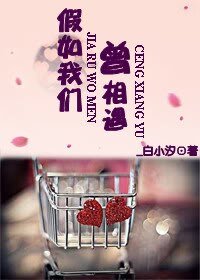 《假如我们曾相遇》